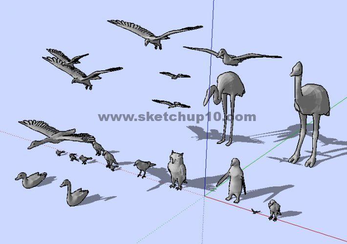 飞禽类鸟类模型集合0sketchup草图大师模型库 草图大师模型库组件库下载 第1张