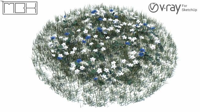 蓝白小花的草坪素材 | sketchup模型库 sketchup植物模型 第1张
