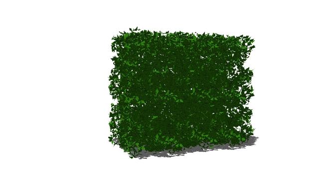 爬山虎垂直绿化绿墙素材| skp下载 sketchup植物模型 第1张