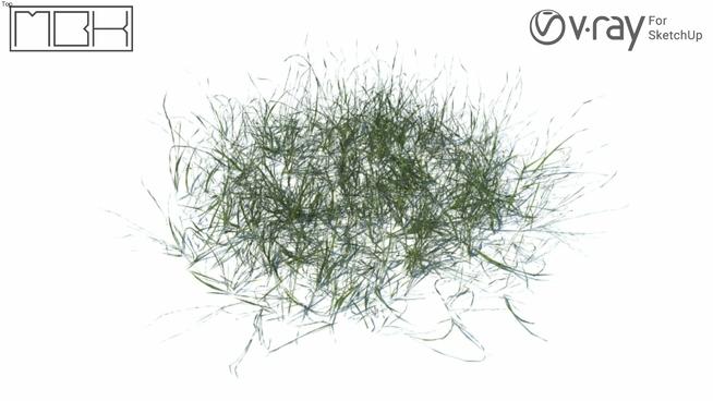 嫩绿的杂草草图大师模型免费下载（048）  sketchup植物模型 第1张