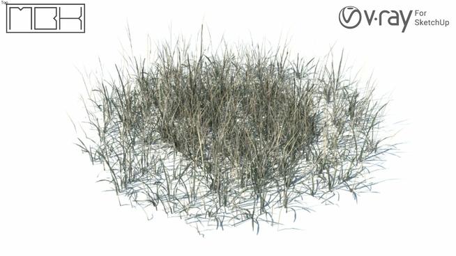草，高清晰、Vray（038）| SketchUp模型库 sketchup植物模型 第1张
