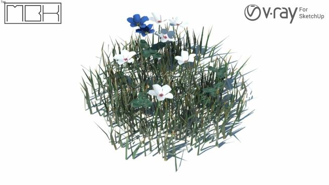 带花得草坪（028）|su模型 sketchup植物模型 第1张