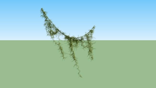藤本植物sketchup模型下载模型 sketchup植物模型 第1张