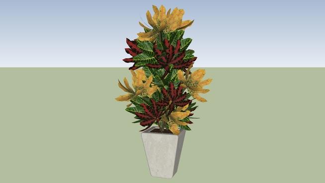 室内装饰装修花盆skp下载 sketchup植物模型 第1张