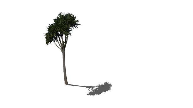 白菜树| SketchUp模型下载 sketchup植物模型 第1张
