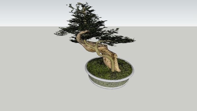 盆景植物| SketchUp模型库 sketchup植物模型 第1张