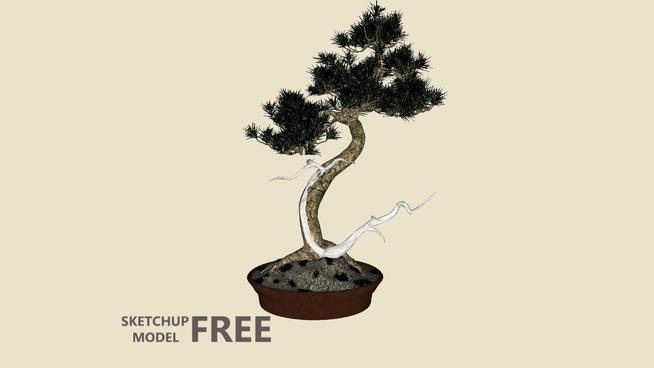 2 |su模型盆景 sketchup植物模型 第1张