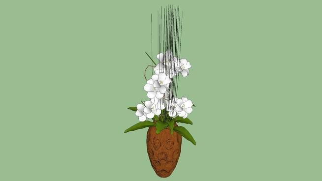 装饰花| SketchUp模型下载 sketchup植物模型 第1张