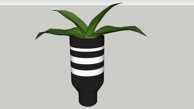 斑马花瓶与植物| sketchup模型下载 sketchup植物模型 第1张