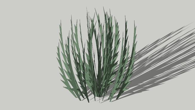 迷迭香| skp下载 sketchup植物模型 第1张