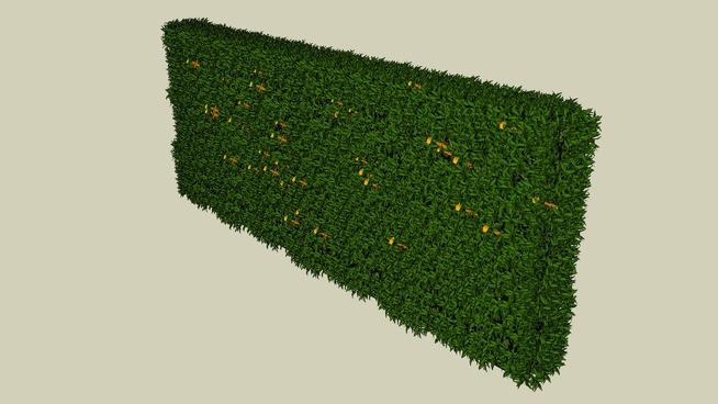 绿篱垂直绿化| SketchUp模型下载 sketchup植物模型 第1张