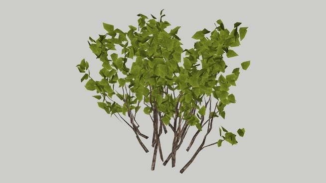 灌木01 | SketchUp模型下载 sketchup植物模型 第1张