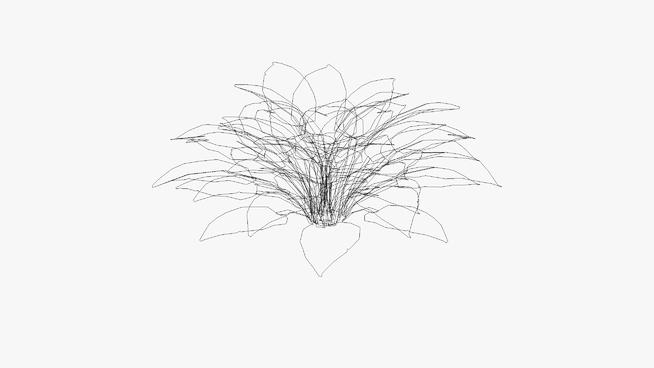 | skp下载玉簪 sketchup植物模型 第1张