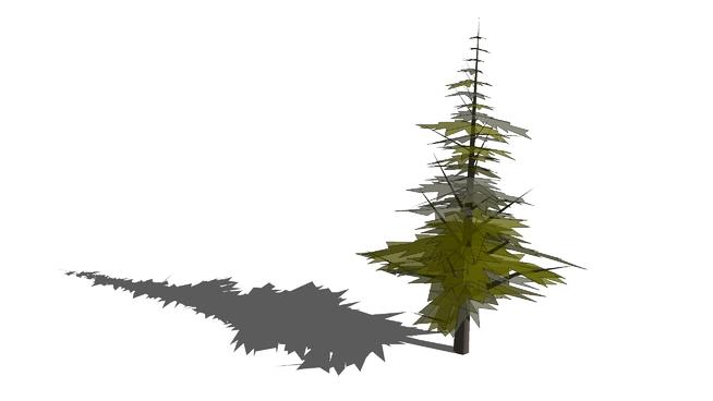 草图样式针叶树 | SketchUp模型库 sketchup植物模型 第1张