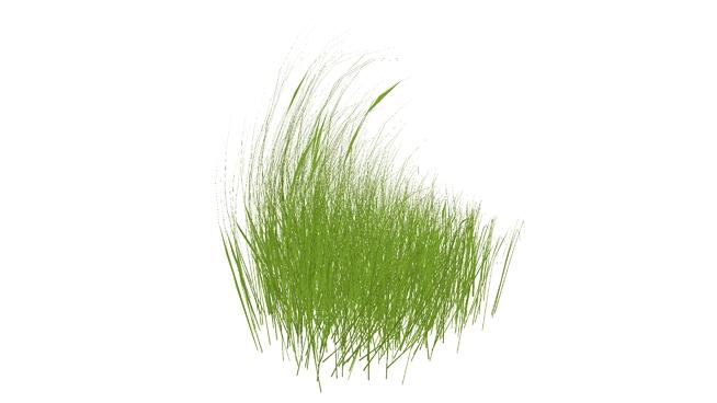| sketchup模型库草/草/植物 sketchup植物模型 第1张