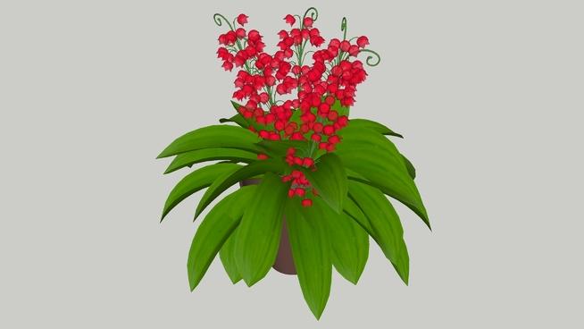 Plant| skp下载 sketchup植物模型 第1张