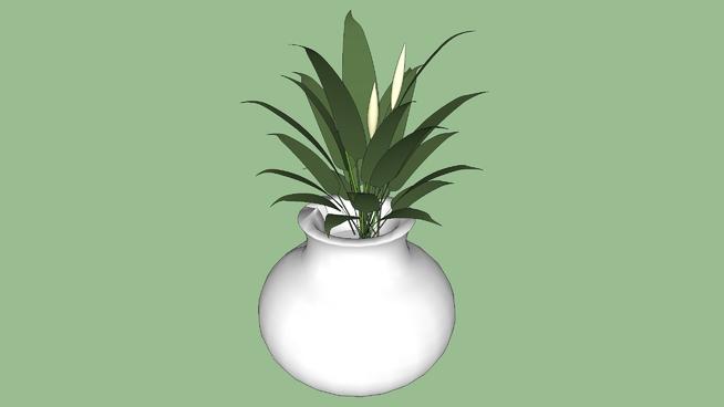 花vase | skp下载 sketchup植物模型 第1张