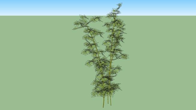 | sketchup模型下载竹 sketchup植物模型 第1张