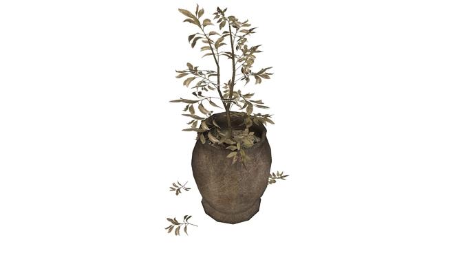 枯萎的植物花瓶，表现意境的装饰草图大师模型 sketchup植物模型 第1张