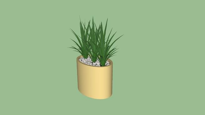 植物装饰 |su模型 sketchup植物模型 第1张
