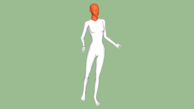 Z人体模型的| su模型整洁 人物草图大师模型下载 第1张