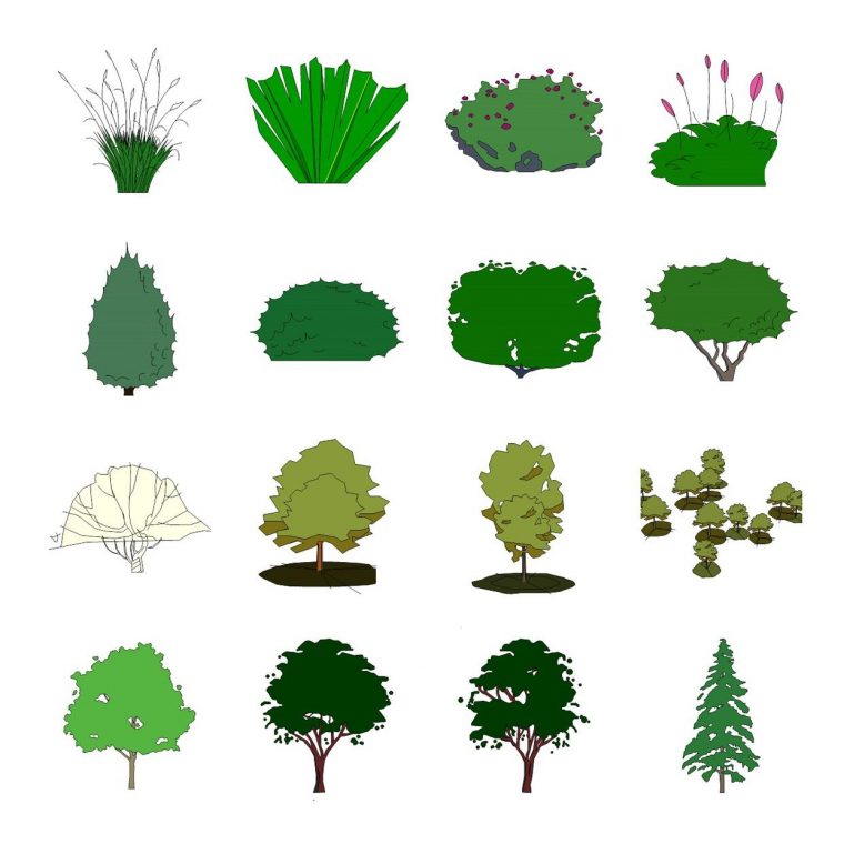 景观植物模型集合sketchup模型下载 SketchUp景观模型下载 第1张