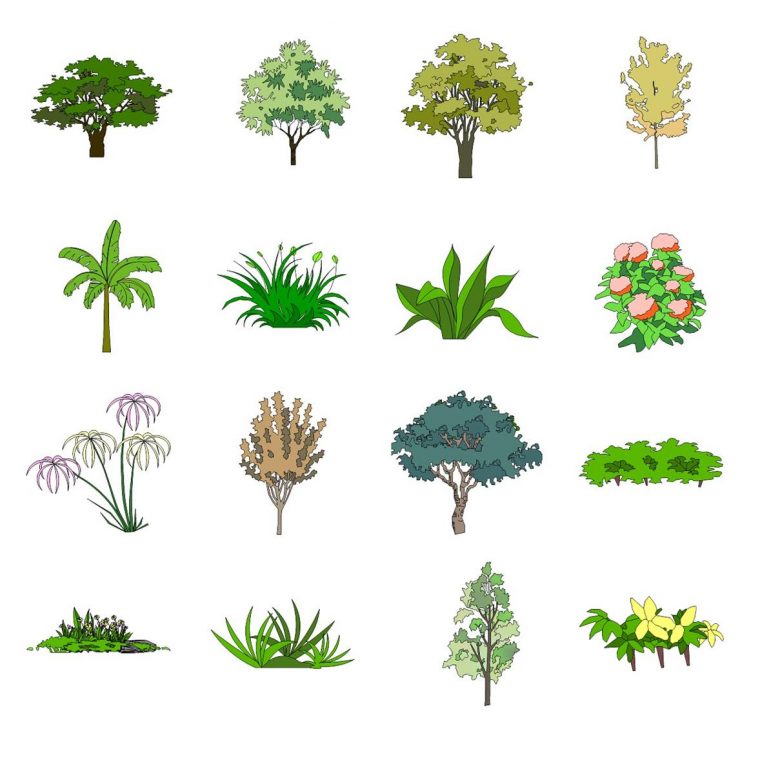 园林绿化植物组件skp下载 SketchUp景观模型下载 第1张