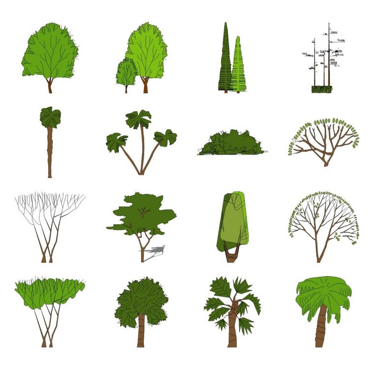 特色园林绿化植物乔木su草图大师模型 SketchUp景观模型下载 第1张