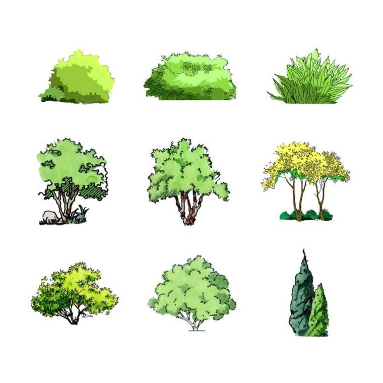 手绘风格植物灌木乔木地被su模型 SketchUp景观模型下载 第1张