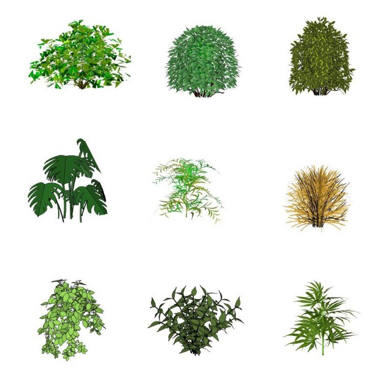 灌木丛绿化景观植物模型 SketchUp景观模型下载 第1张