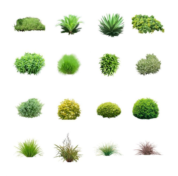 景观绿化植物灌木丛skp模型 SketchUp景观模型下载 第1张