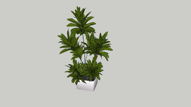 室内植物及花瓶花钵容器等模型-编号127611 sketchup室内模型下载 第1张