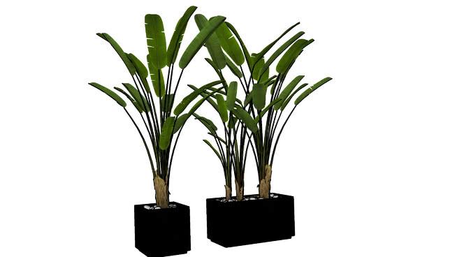 | skp下载盆植物 sketchup室内模型下载 第1张