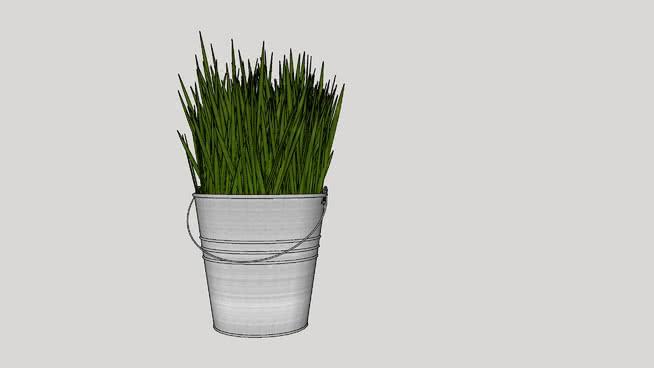 流水，植物，生物，水晶，花，植物，水桶 sketchup室内模型下载 第1张