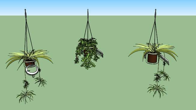 悬挂植物盆 sketchup室内模型下载 第1张