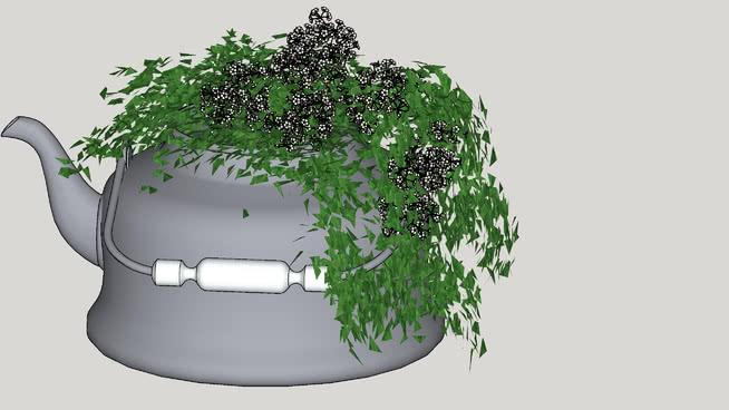 teapot水壶，水壶，чайник，与花| sketchup模型下载 sketchup室内模型下载 第1张