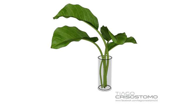 植物| sketchup模型下载玻璃花瓶 sketchup室内模型下载 第1张