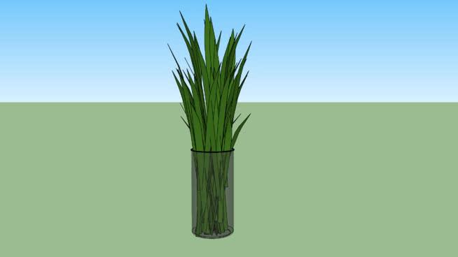 花瓶上的绿色树叶，| su模型 sketchup室内模型下载 第1张