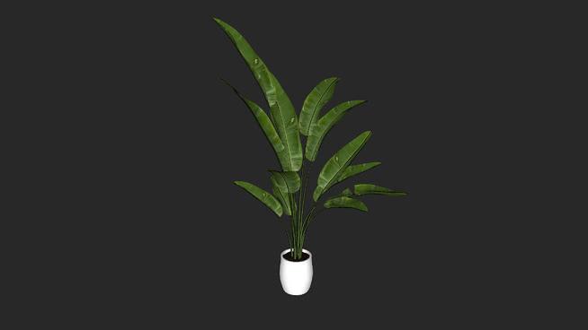 植物| su模型10 sketchup室内模型下载 第1张