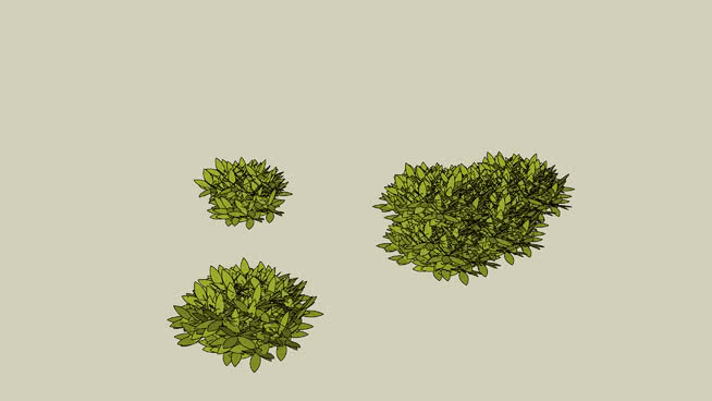 灌木的3D sketchup植物模型 第1张