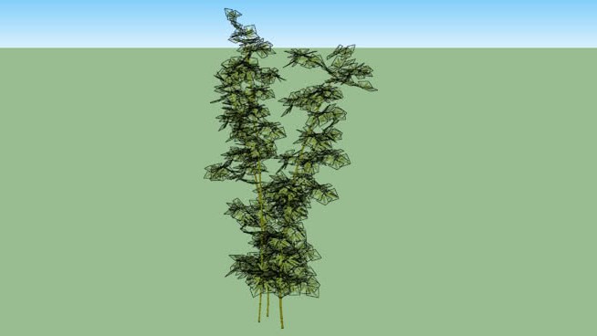 竹子 sketchup植物模型 第1张