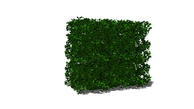 灌木- 01 sketchup植物模型 第1张