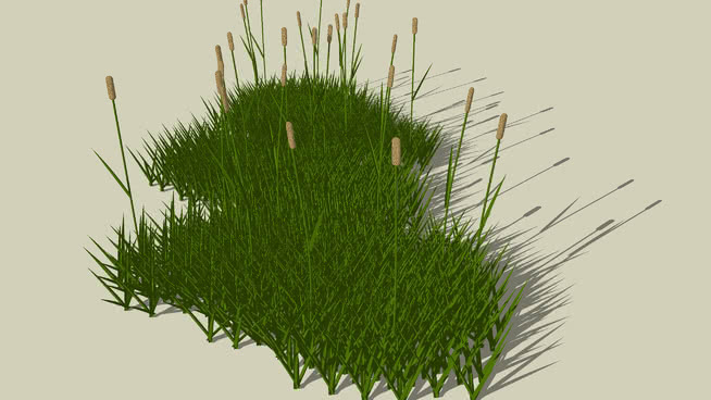 草丛 sketchup植物模型 第1张