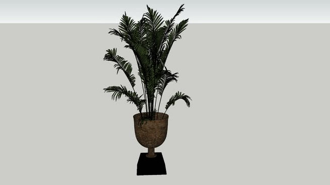 装饰植物 sketchup植物模型 第1张
