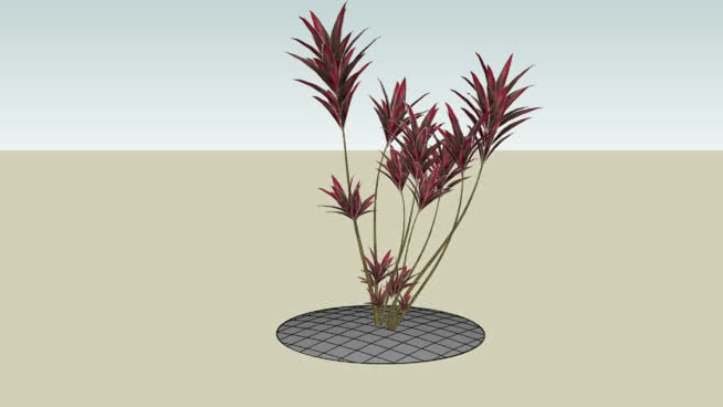 2号线 sketchup植物模型 第1张