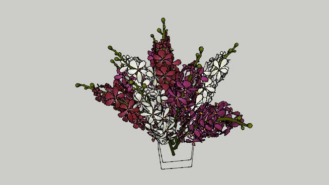 花sketchup模型-编号231603 sketchup植物模型 第1张