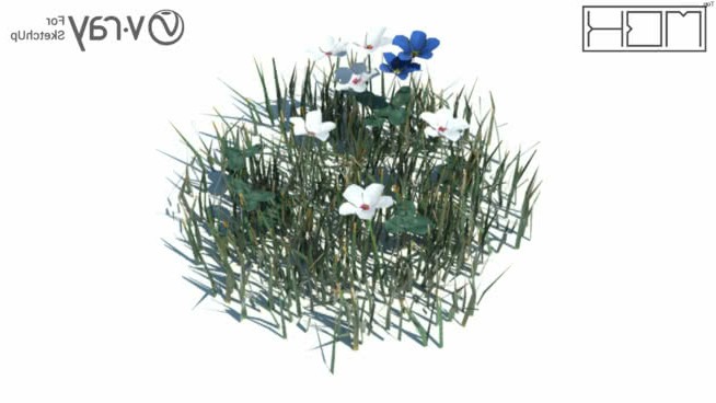 草，高聚合，VRY准备（028） sketchup植物模型 第1张