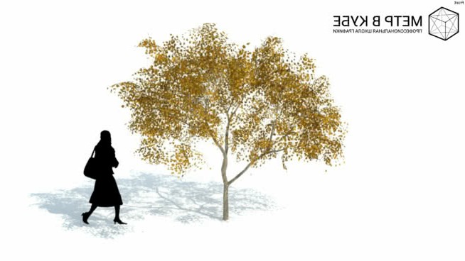 秋季低树3D树（036） sketchup植物模型 第1张