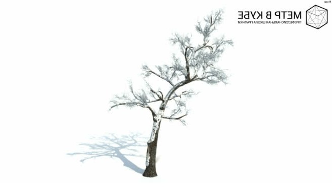 低维3D树木冬季（028） sketchup植物模型 第1张