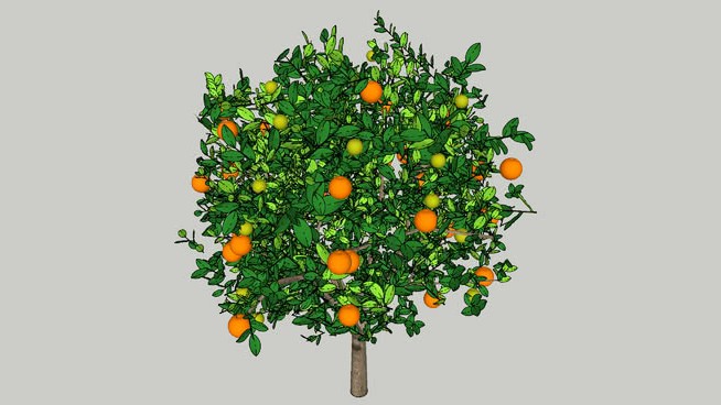 橙色 sketchup植物模型 第1张